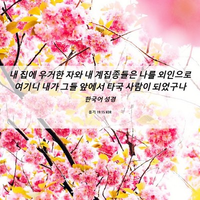 Picture 06 - 욥기 19:15 KOR - 내 집에 우거한 자와 내 계집종들은 - Bible Verse Picture