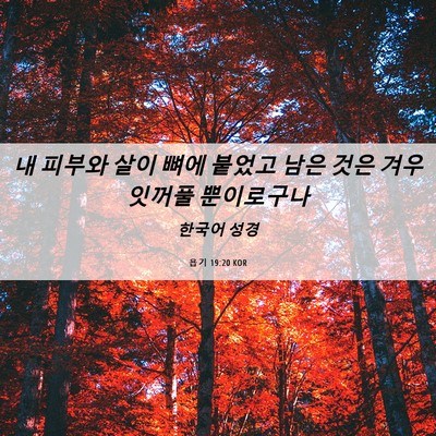 Picture 06 - 욥기 19:20 KOR - 내 피부와 살이 뼈에 붙었고 남은 - Bible Verse Picture