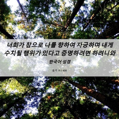 Picture 06 - 욥기 19:5 KOR - 너희가 참으로 나를 향하여 자긍하며 - Bible Verse Picture