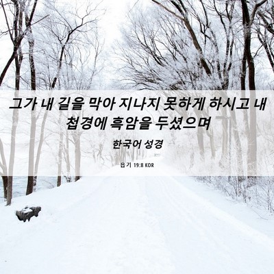 Picture 06 - 욥기 19:8 KOR - 그가 내 길을 막아 지나지 못하게 - Bible Verse Picture