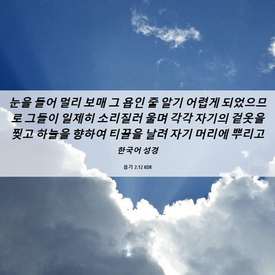 Picture 06 - 욥기 2:12 KOR - 눈을 들어 멀리 보매 그 욥인 줄 알기 - Bible Verse Picture