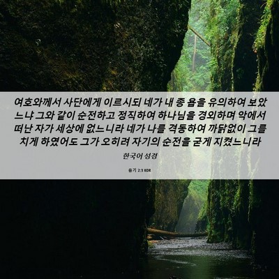 Picture 06 - 욥기 2:3 KOR - 여호와께서 사단에게 이르시되 네가 - Bible Verse Picture