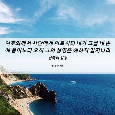 Picture 06 - 욥기 2:6 KOR - 여호와께서 사단에게 이르시되 내가 - Bible Verse Picture