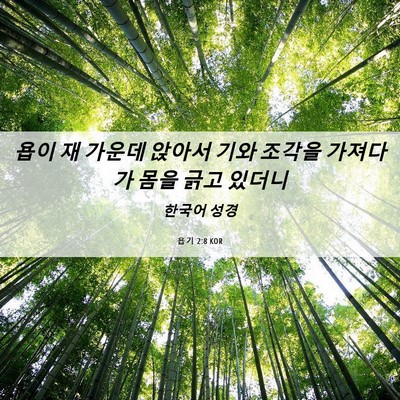 Picture 06 - 욥기 2:8 KOR - 욥이 재 가운데 앉아서 기와 조각을 - Bible Verse Picture
