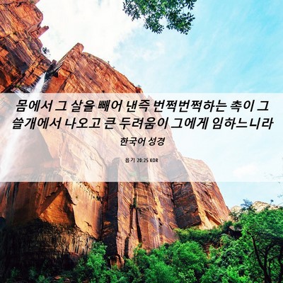 Picture 06 - 욥기 20:25 KOR - 몸에서 그 살을 빼어 낸즉 - Bible Verse Picture