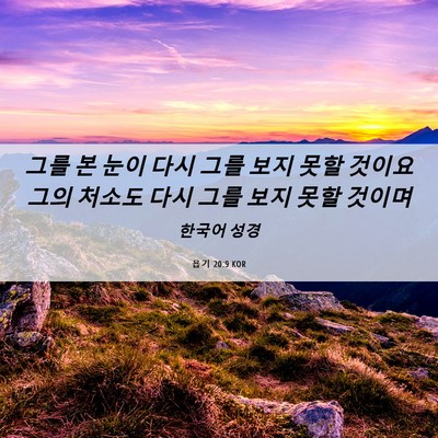 Picture 06 - 욥기 20:9 KOR - 그를 본 눈이 다시 그를 보지 못할 - Bible Verse Picture