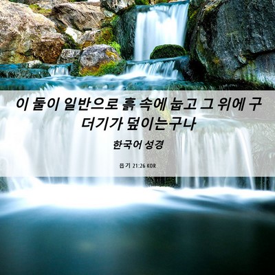 Picture 06 - 욥기 21:26 KOR - 이 둘이 일반으로 흙 속에 눕고 그 - Bible Verse Picture