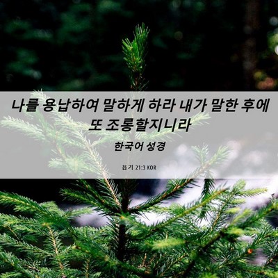 Picture 06 - 욥기 21:3 KOR - 나를 용납하여 말하게 하라 내가 - Bible Verse Picture
