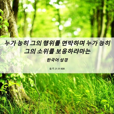 Picture 06 - 욥기 21:31 KOR - 누가 능히 그의 행위를 면박하며 - Bible Verse Picture