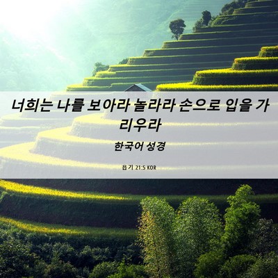 Picture 06 - 욥기 21:5 KOR - 너희는 나를 보아라 놀라라 손으로 - Bible Verse Picture