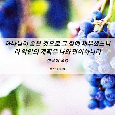 Picture 06 - 욥기 22:18 KOR - 하나님이 좋은 것으로 그 집에 - Bible Verse Picture