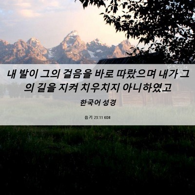 Picture 06 - 욥기 23:11 KOR - 내 발이 그의 걸음을 바로 따랐으며 - Bible Verse Picture