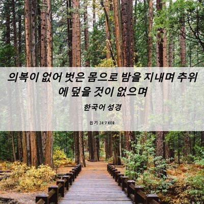 Picture 06 - 욥기 24:7 KOR - 의복이 없어 벗은 몸으로 밤을 - Bible Verse Picture
