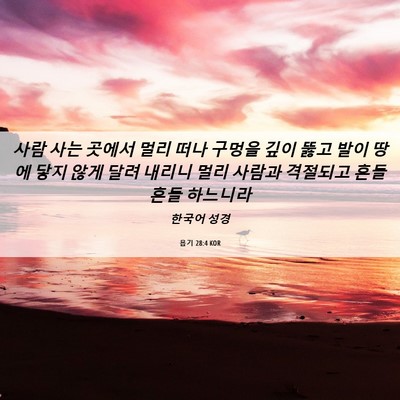 Picture 06 - 욥기 28:4 KOR - 사람 사는 곳에서 멀리 떠나 구멍을 - Bible Verse Picture