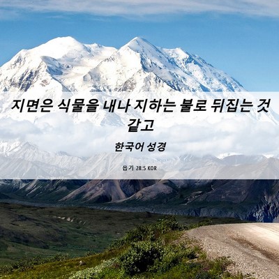Picture 06 - 욥기 28:5 KOR - 지면은 식물을 내나 지하는 불로 - Bible Verse Picture