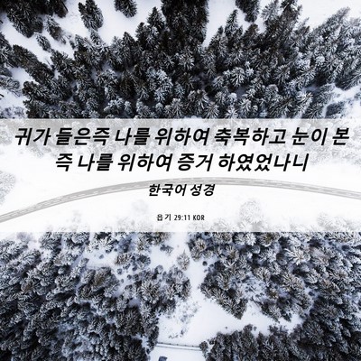Picture 06 - 욥기 29:11 KOR - 귀가 들은즉 나를 위하여 축복하고 - Bible Verse Picture