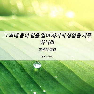 Picture 06 - 욥기 3:1 KOR - 그 후에 욥이 입을 열어 자기의 - Bible Verse Picture