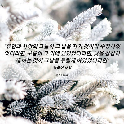 Picture 06 - 욥기 3:5 KOR - 