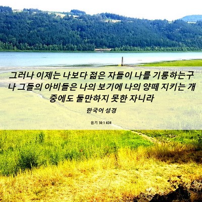 Picture 06 - 욥기 30:1 KOR - 그러나 이제는 나보다 젊은 자들이 - Bible Verse Picture