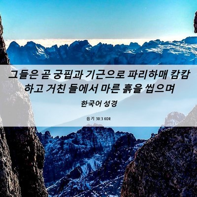 Picture 06 - 욥기 30:3 KOR - 그들은 곧 궁핍과 기근으로 파리하매 - Bible Verse Picture