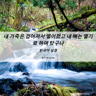 Picture 06 - 욥기 30:30 KOR - 내 가죽은 검어져서 떨어졌고 내 - Bible Verse Picture