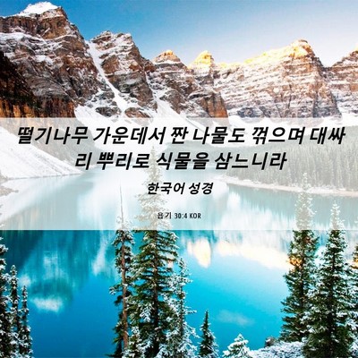 Picture 06 - 욥기 30:4 KOR - 떨기나무 가운데서 짠 나물도 꺾으며 - Bible Verse Picture