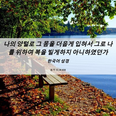 Picture 06 - 욥기 31:20 KOR - 나의 양털로 그 몸을 더웁게 입혀서 - Bible Verse Picture