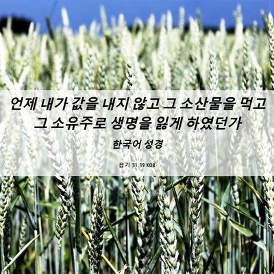 Picture 06 - 욥기 31:39 KOR - 언제 내가 값을 내지 않고 그 - Bible Verse Picture