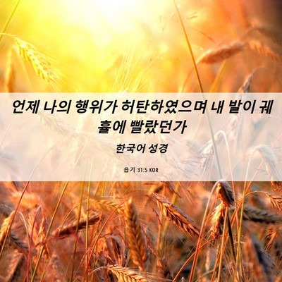Picture 06 - 욥기 31:5 KOR - 언제 나의 행위가 허탄하였으며 내 - Bible Verse Picture