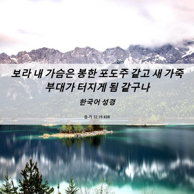 Picture 06 - 욥기 32:19 KOR - 보라 내 가슴은 봉한 포도주 같고 새 - Bible Verse Picture