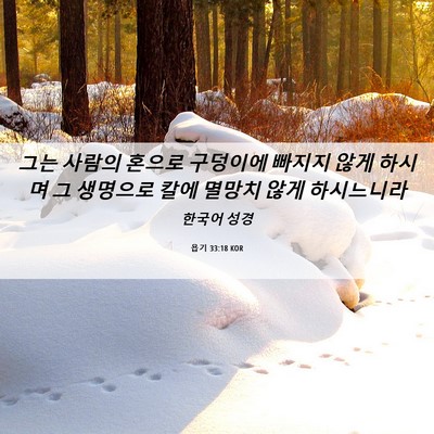 Picture 06 - 욥기 33:18 KOR - 그는 사람의 혼으로 구덩이에 빠지지 - Bible Verse Picture