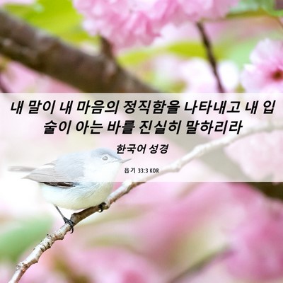 Picture 06 - 욥기 33:3 KOR - 내 말이 내 마음의 정직함을 - Bible Verse Picture
