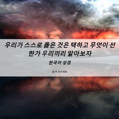 Picture 06 - 욥기 34:4 KOR - 우리가 스스로 옳은 것은 택하고 - Bible Verse Picture