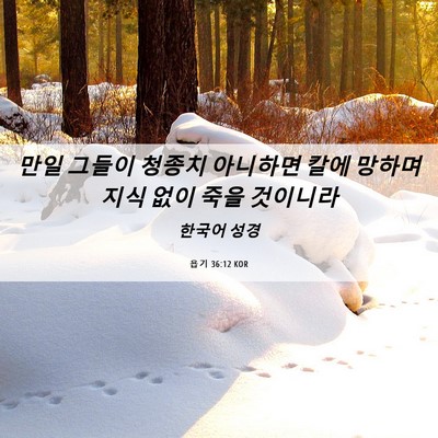 Picture 06 - 욥기 36:12 KOR - 만일 그들이 청종치 아니하면 칼에 - Bible Verse Picture