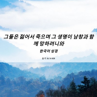Picture 06 - 욥기 36:14 KOR - 그들은 젊어서 죽으며 그 생명이 - Bible Verse Picture