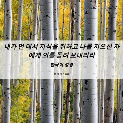 Picture 06 - 욥기 36:3 KOR - 내가 먼 데서 지식을 취하고 나를 - Bible Verse Picture