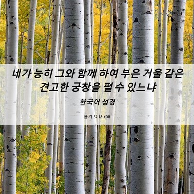 Picture 06 - 욥기 37:18 KOR - 네가 능히 그와 함께 하여 부은 거울 - Bible Verse Picture