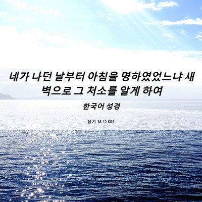 Picture 06 - 욥기 38:12 KOR - 네가 나던 날부터 아침을 - Bible Verse Picture