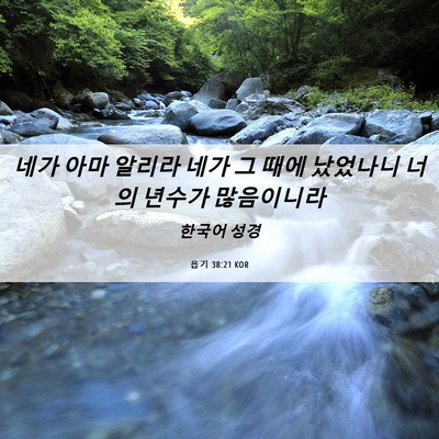 Picture 06 - 욥기 38:21 KOR - 네가 아마 알리라 네가 그 때에 - Bible Verse Picture