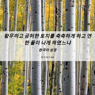 Picture 06 - 욥기 38:27 KOR - 황무하고 공허한 토지를 축축하게 - Bible Verse Picture