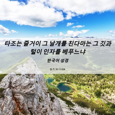 Picture 06 - 욥기 39:13 KOR - 타조는 즐거이 그 날개를 친다마는 - Bible Verse Picture