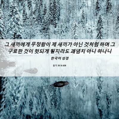 Picture 06 - 욥기 39:16 KOR - 그 새끼에게 무정함이 제 새끼가 - Bible Verse Picture