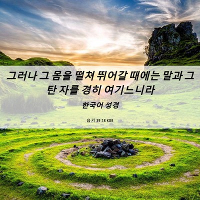 Picture 06 - 욥기 39:18 KOR - 그러나 그 몸을 떨쳐 뛰어갈 때에는 - Bible Verse Picture