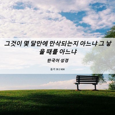 Picture 06 - 욥기 39:2 KOR - 그것이 몇 달만에 만삭되는지 아느냐 - Bible Verse Picture