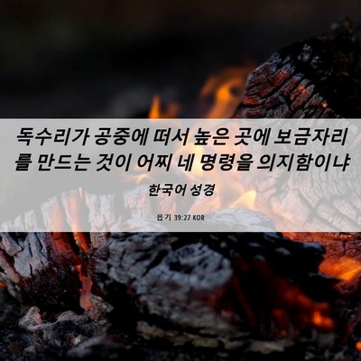 Picture 06 - 욥기 39:27 KOR - 독수리가 공중에 떠서 높은 곳에 - Bible Verse Picture