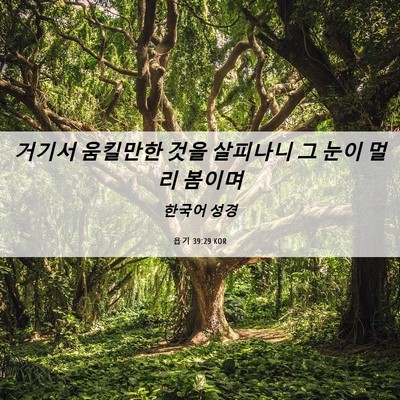 Picture 06 - 욥기 39:29 KOR - 거기서 움킬만한 것을 살피나니 그 - Bible Verse Picture