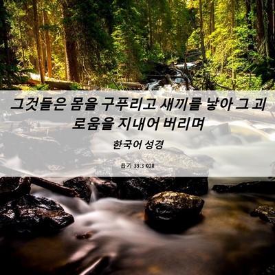 Picture 06 - 욥기 39:3 KOR - 그것들은 몸을 구푸리고 새끼를 낳아 - Bible Verse Picture