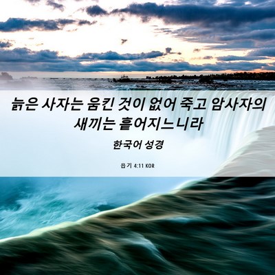 Picture 06 - 욥기 4:11 KOR - 늙은 사자는 움킨 것이 없어 죽고 - Bible Verse Picture