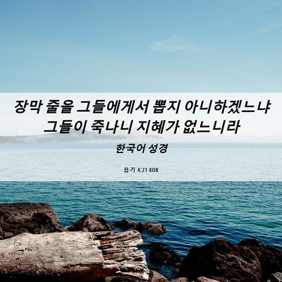 Picture 06 - 욥기 4:21 KOR - 장막 줄을 그들에게서 뽑지 - Bible Verse Picture