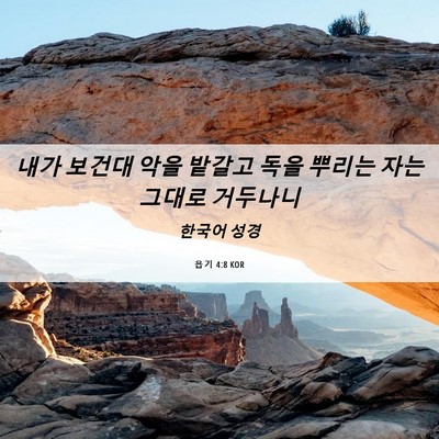 Picture 06 - 욥기 4:8 KOR - 내가 보건대 악을 밭갈고 독을 - Bible Verse Picture